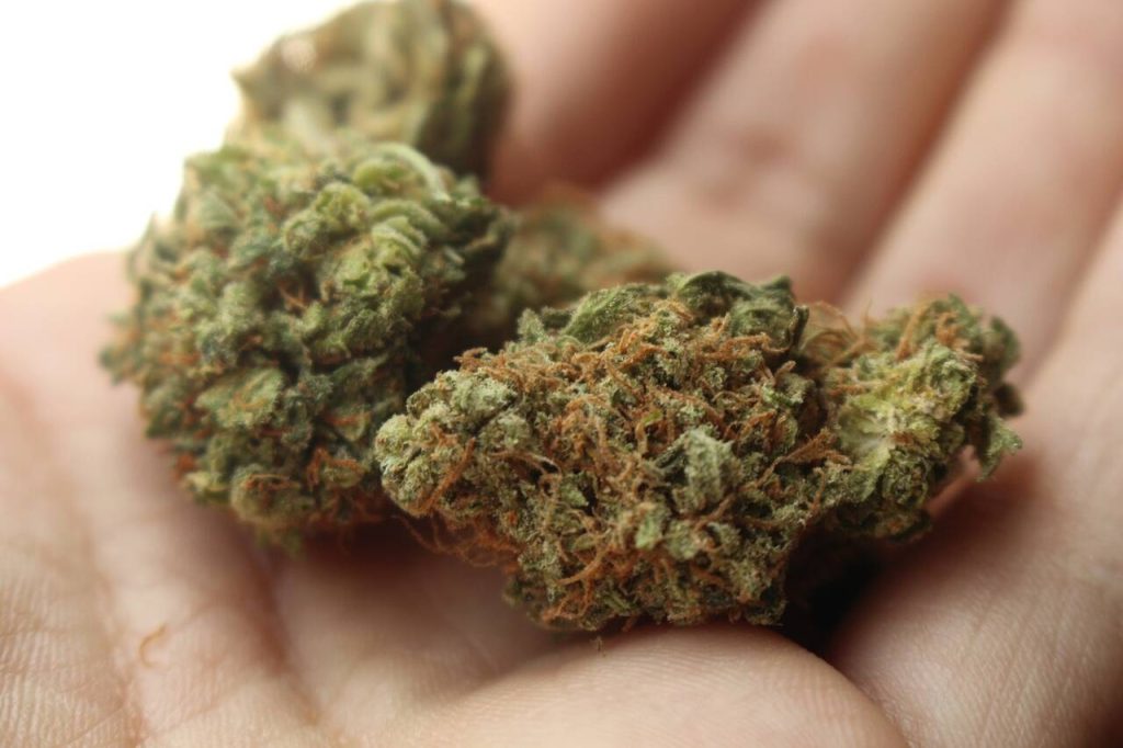 THCA Flowers
